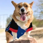 custom-philadelphia-phillies-tail-hem-blue-black-pet-jersey-best-selling.webp
