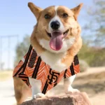 custom-san-francisco-giants-vivid-chevron-orange-pet-jersey-best-selling.webp
