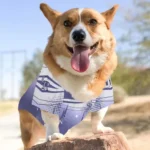customized-colorado-rockies-geometric-burst-blue-white-pet-jersey-best-selling.webp