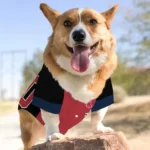 personalized-boston-red-sox-tail-hem-red-black-pet-jersey-best-selling.webp