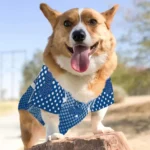 personalized-kansas-city-royals-chevron-polka-royal-blue-pet-jersey-best-selling.webp